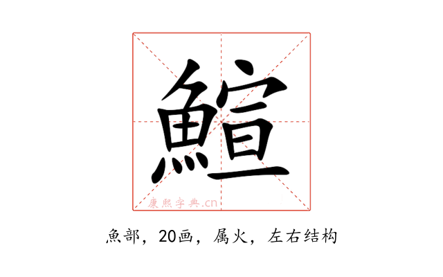 鰚
