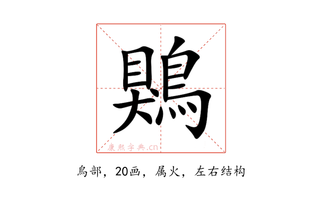 鶪