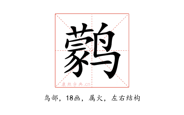 鹲