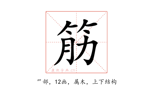 筋