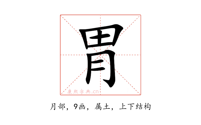 胃