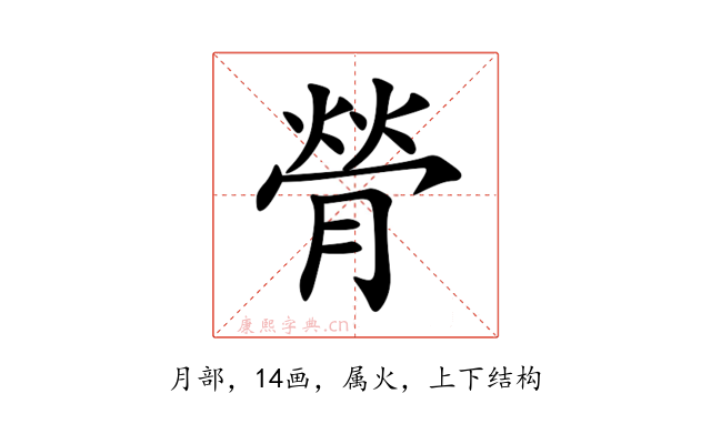 膋