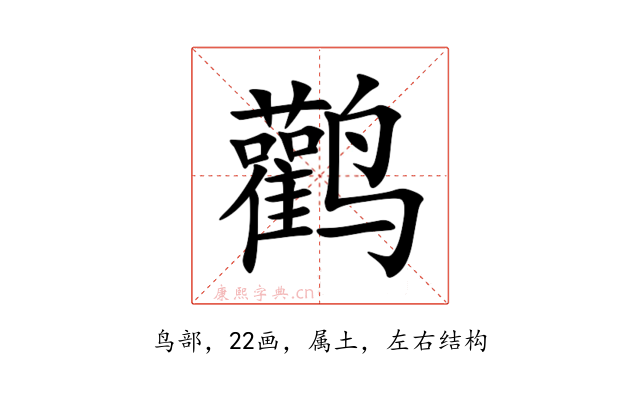 鹳
