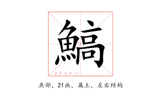 鰝