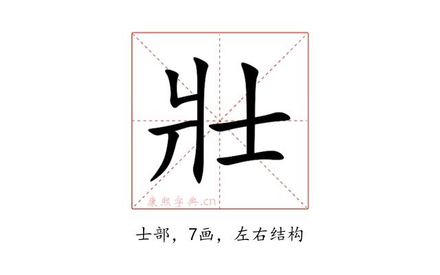壯
