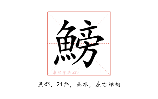 鰟