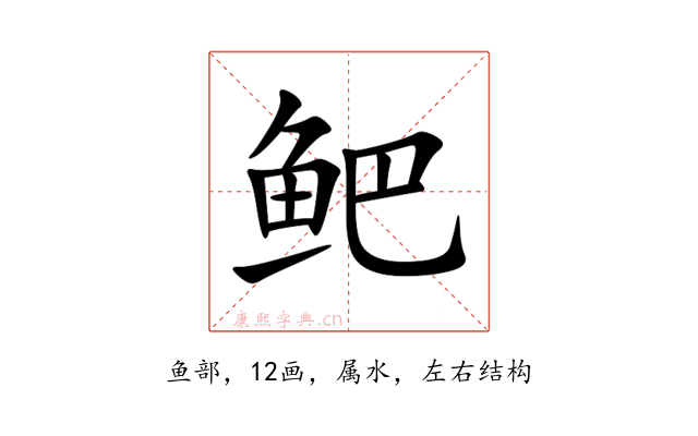 鲃