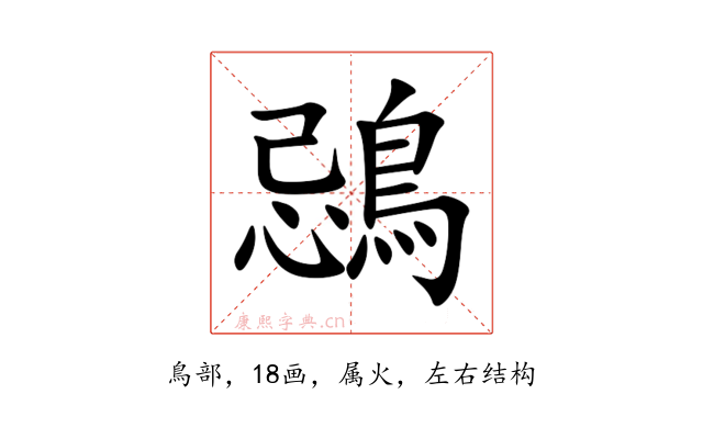 鵋