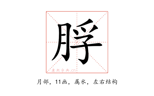 脬