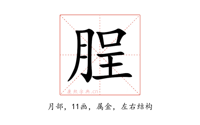 脭