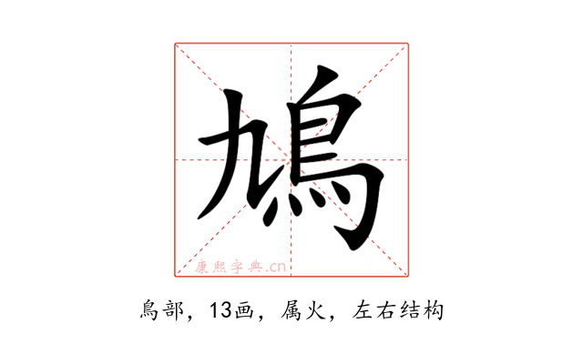 鳩