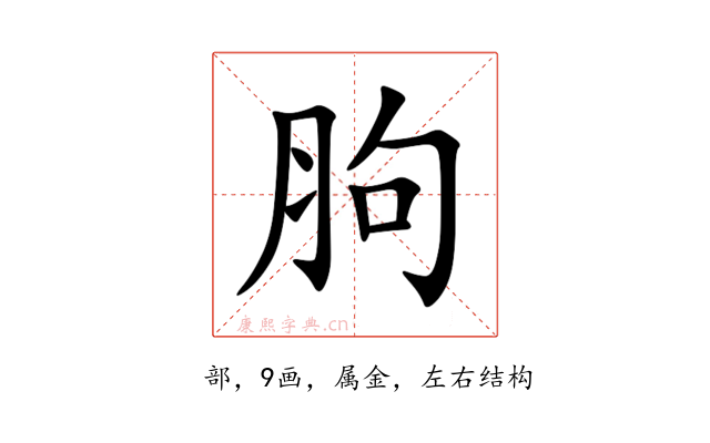 胊