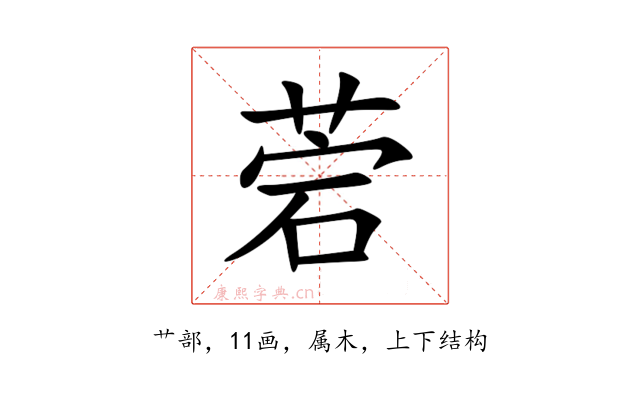 菪