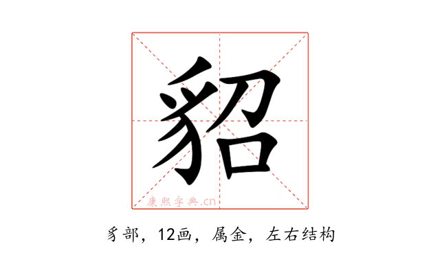 貂