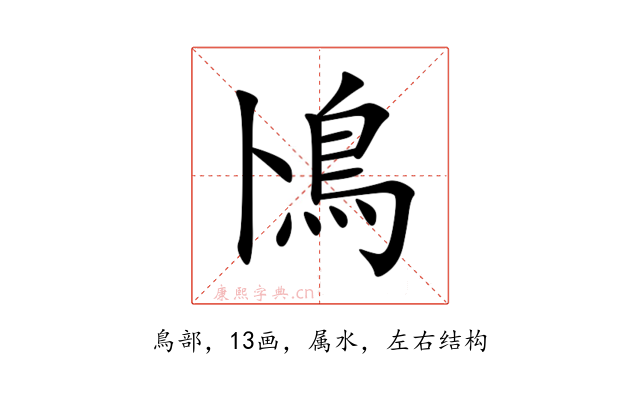 鳪
