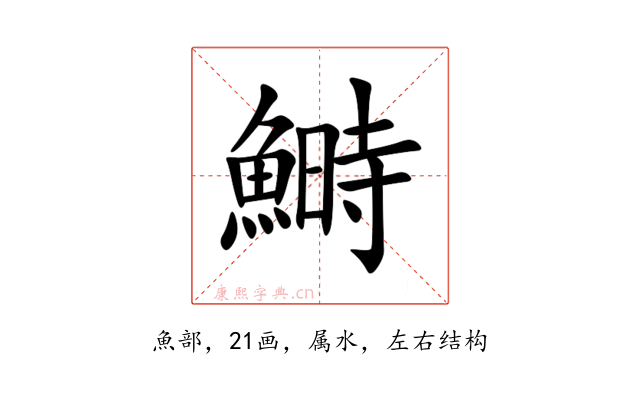 鰣