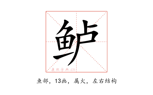 鲈