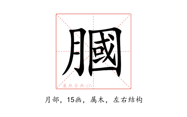 膕