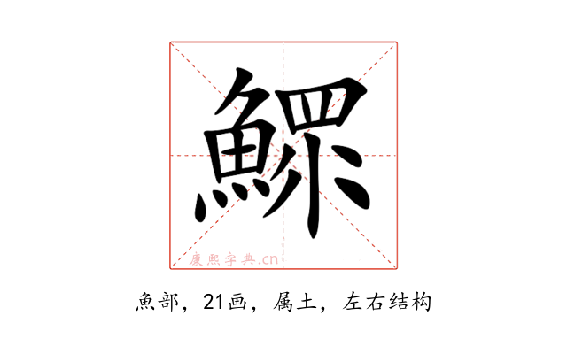 鰥