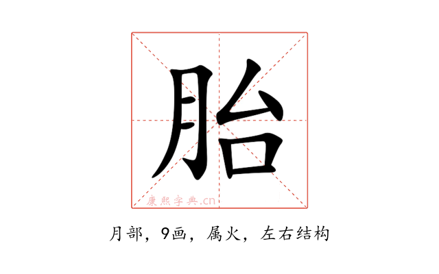 胎