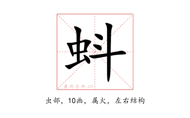蚪