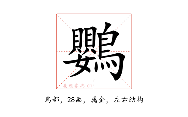 鸚