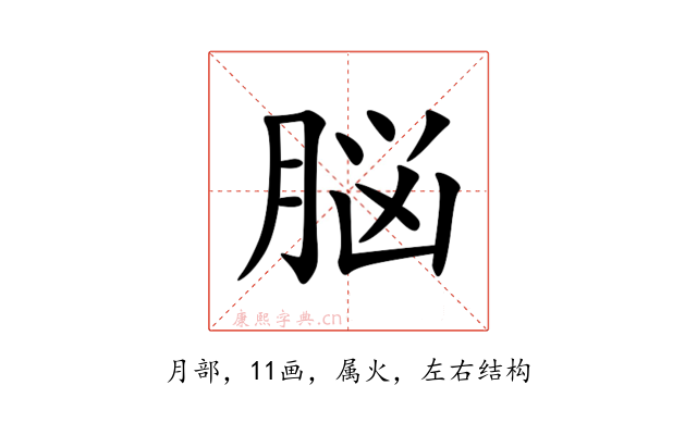 脳