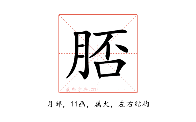 脴