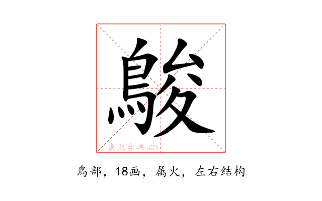 鵔