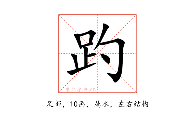 趵