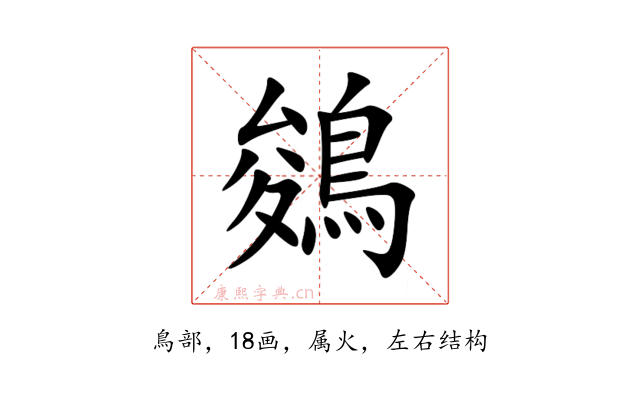 鵕