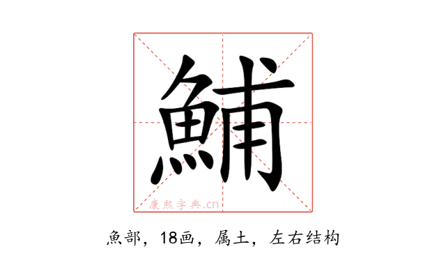 鯆
