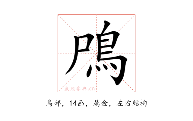 鳲