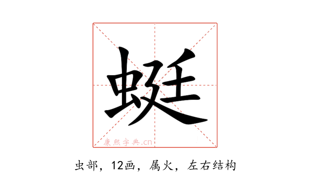 蜓