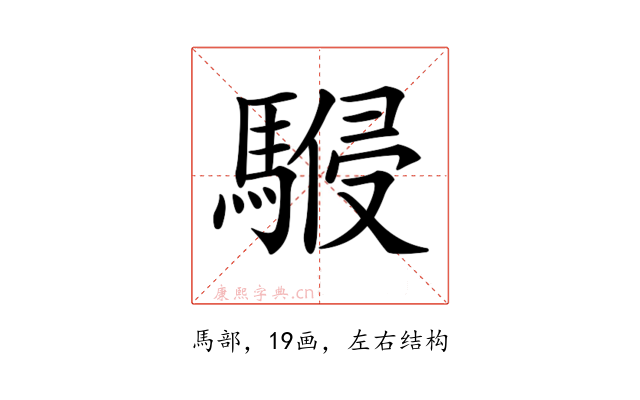 𩤨
