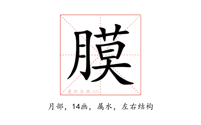 膜