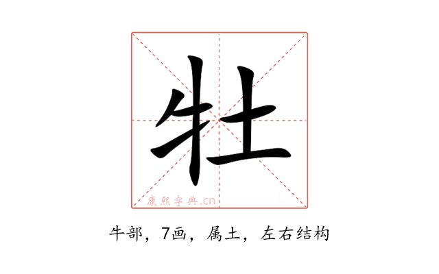 牡