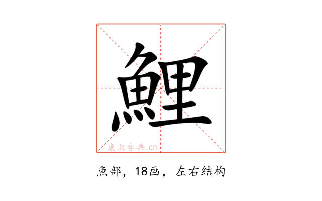 鯉