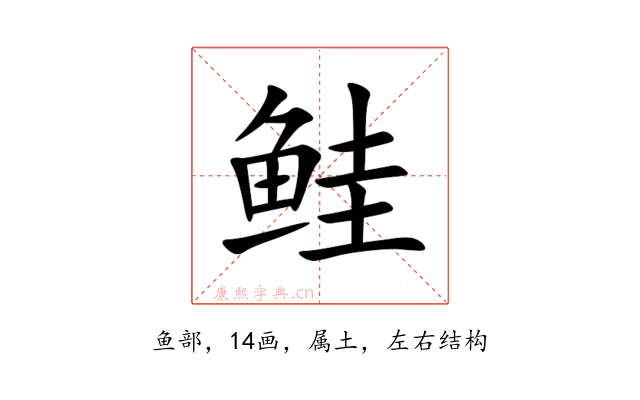 鲑