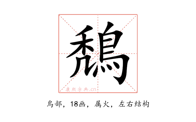 鵚