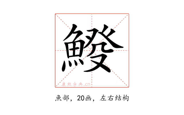 𩸿