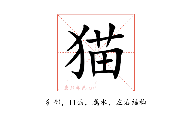 猫
