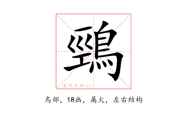 鵛