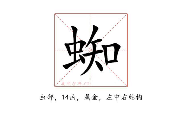蜘
