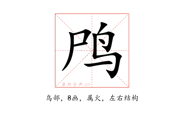 鸤