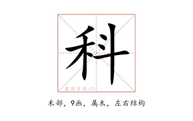 科