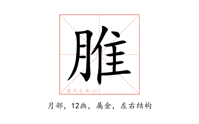 脽