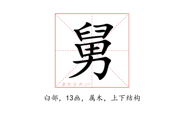 舅
