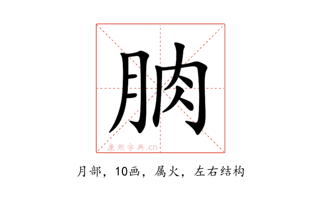 朒