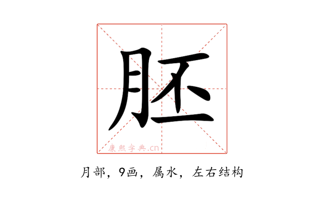胚